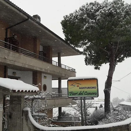 Fiori Del Conero *