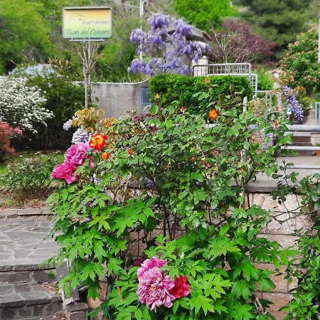 Fiori Del Conero Bauernhof *