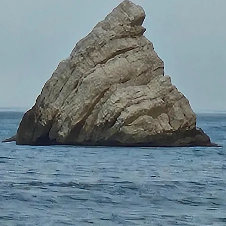 Фермерский дом Fiori Del Conero *