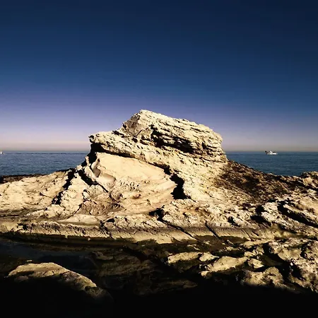 Fiori Del Conero Lantgård