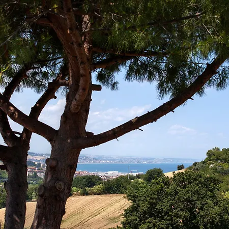 Fiori Del Conero Ancona