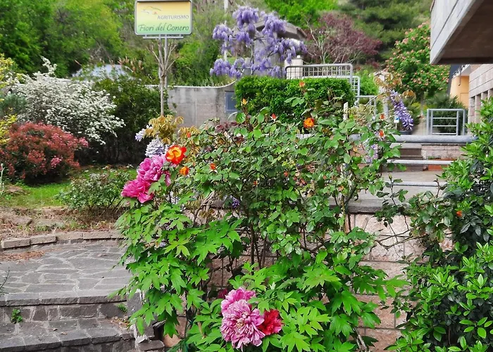 Fiori Del Conero Lantgård *