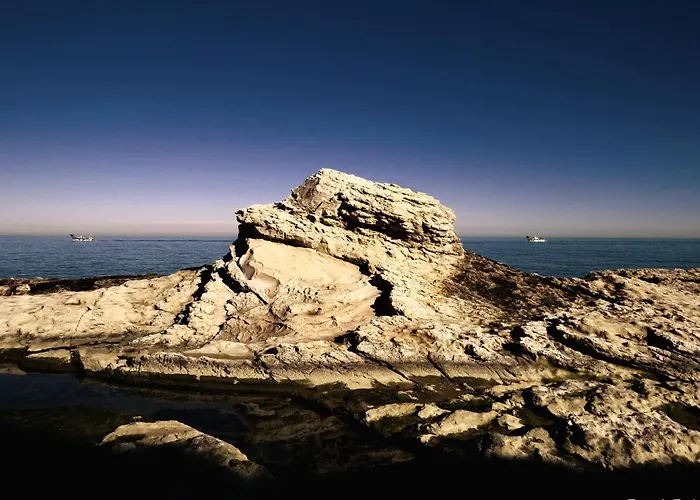 Fiori Del Conero Lantgård