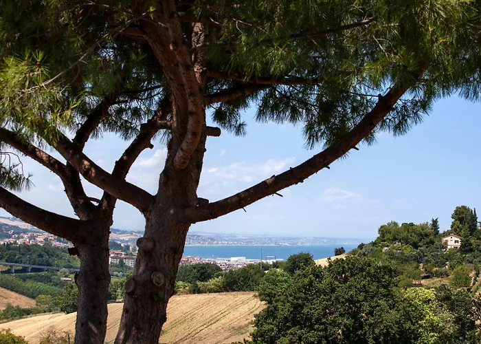 Fiori Del Conero Ancona